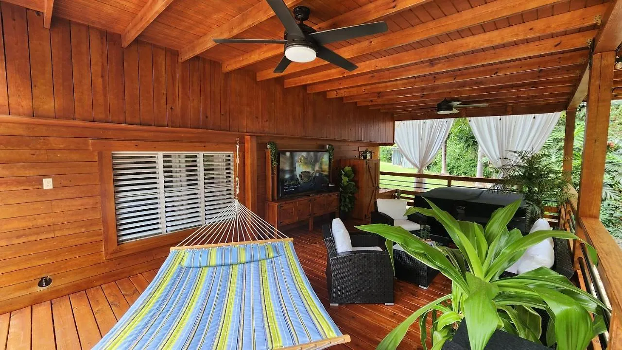 Palm'S Luxury Suite With Private Jacuzzi Aguada Porto Rico